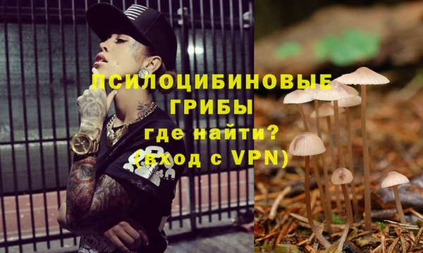 ECSTASY Алексин