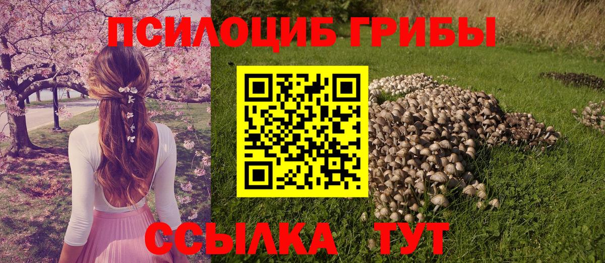 Псилоцибиновые грибы GOLDEN TEACHER  Псилоцибиновые грибы GOLDEN TEACHER  Вход с VPN  Пенза 